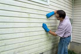 Siding Removal and Disposal in Manistique, MI